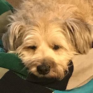 Meet your Posher, Nancy